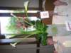 sandrascamera315_small.jpg