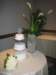 sandrascamera319_small.jpg