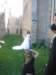 sandrascamera489_small.jpg