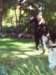 sj_weddingboda_001343_small.jpg