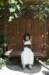 ngwongweddingaug3120084649_small.jpg