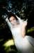 ngwongweddingaug3120085155_small.jpg