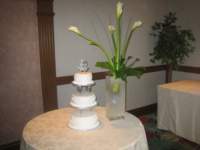 sandrascamera313_small.jpg