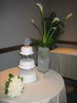 sandrascamera319_small.jpg