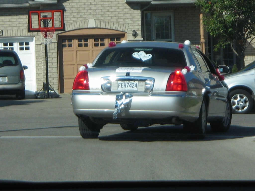 picture007.jpg