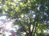 _2994_small.jpg
