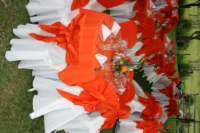 img_5103_small.jpg